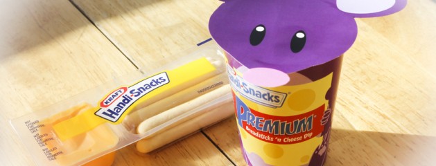 Handi-Snacks Product Redesign