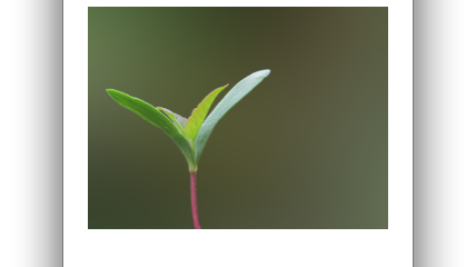 Content-Aware Responsive Web Banner Tutorial