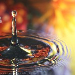 Photograph of a splash of water forming a pinnacle. The water reflects a bouquet of orange and yellow flowers.