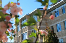 Rexburg Spring
