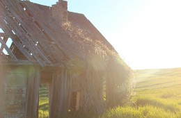Sunbeams in the Old House on the Hill