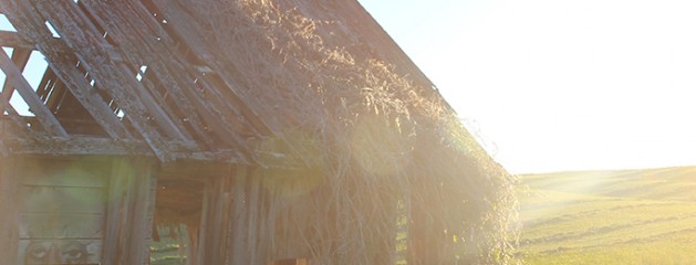 Sunbeams in the Old House on the Hill