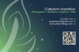 Pixelinkdust Quill Business Card